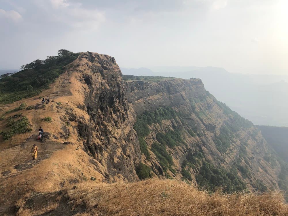 Nagphani