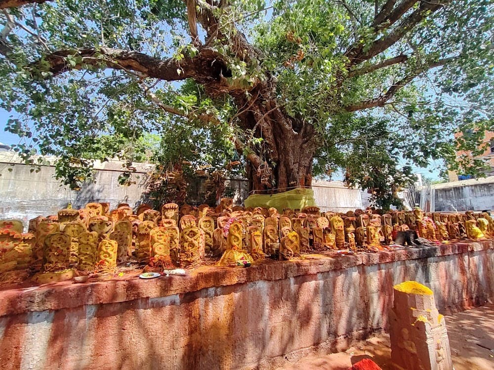 📷 Thirunavukkarasu V