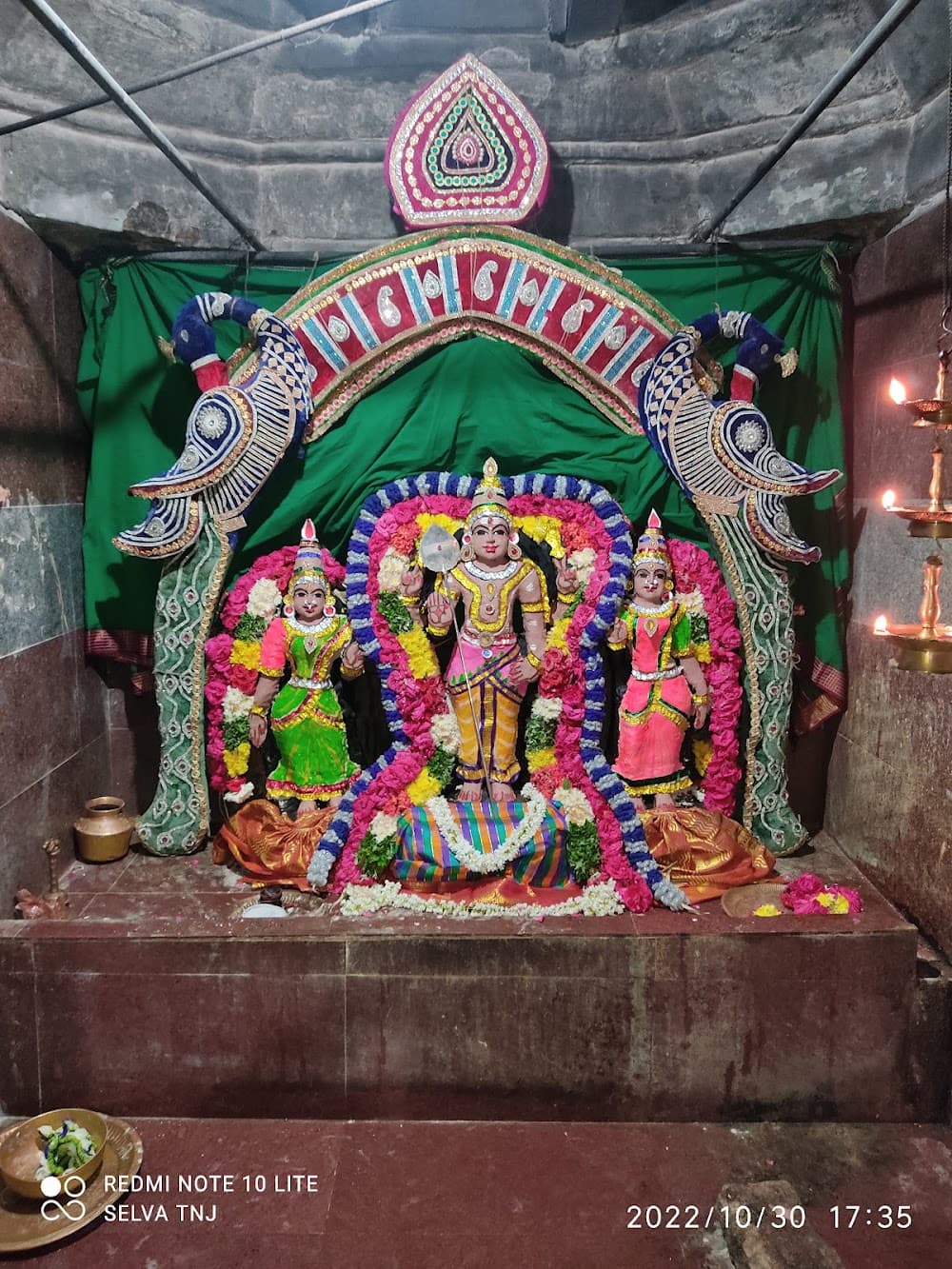 📷 selva deva