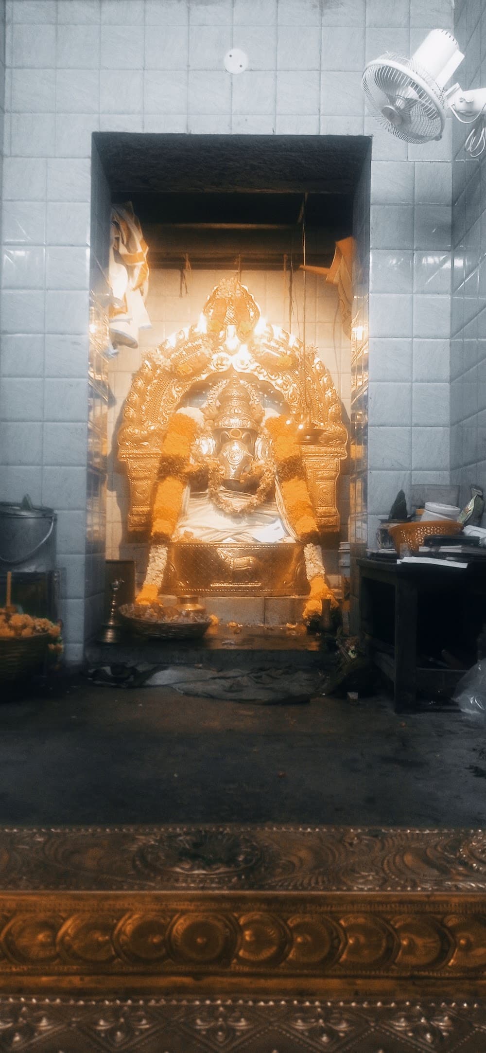 📷 Ganesh Natarajan