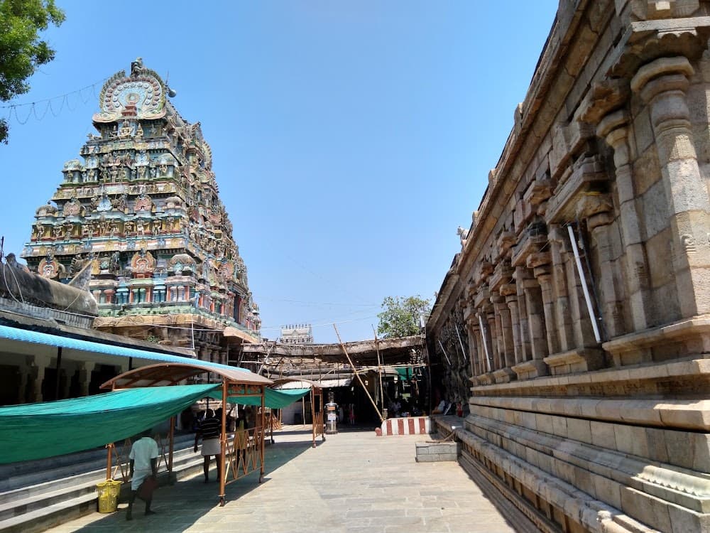 📷 Bharathi Krishna