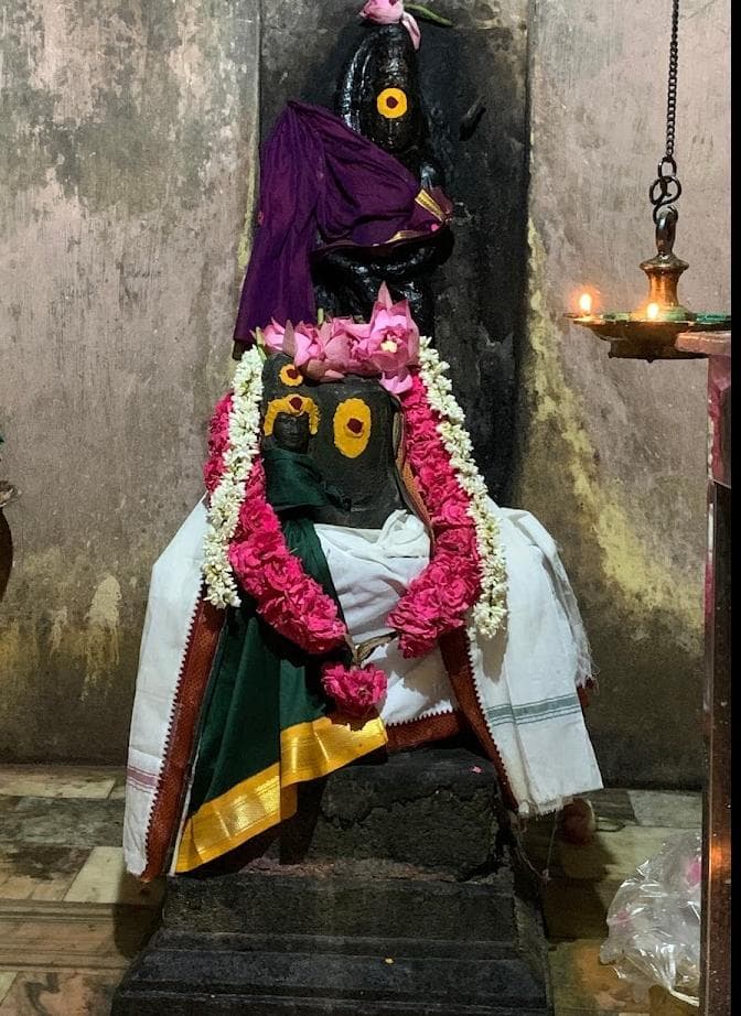 📷 BALAJI ELANGOVAN