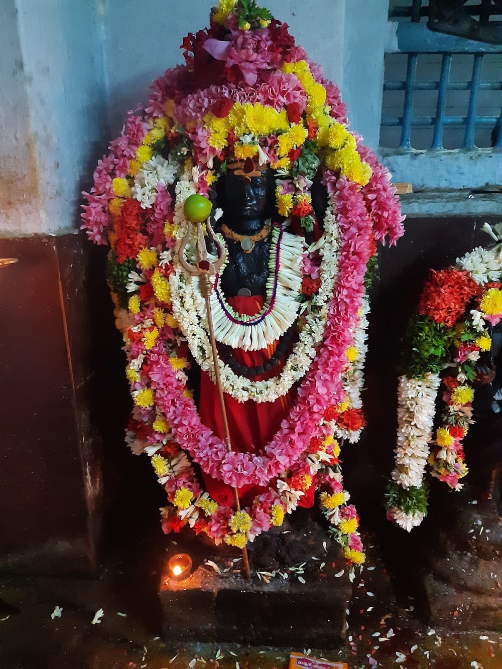 📷 C V Rajaji