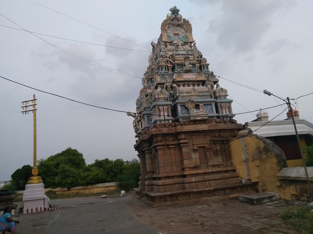 📷 Vaidehi Madavan