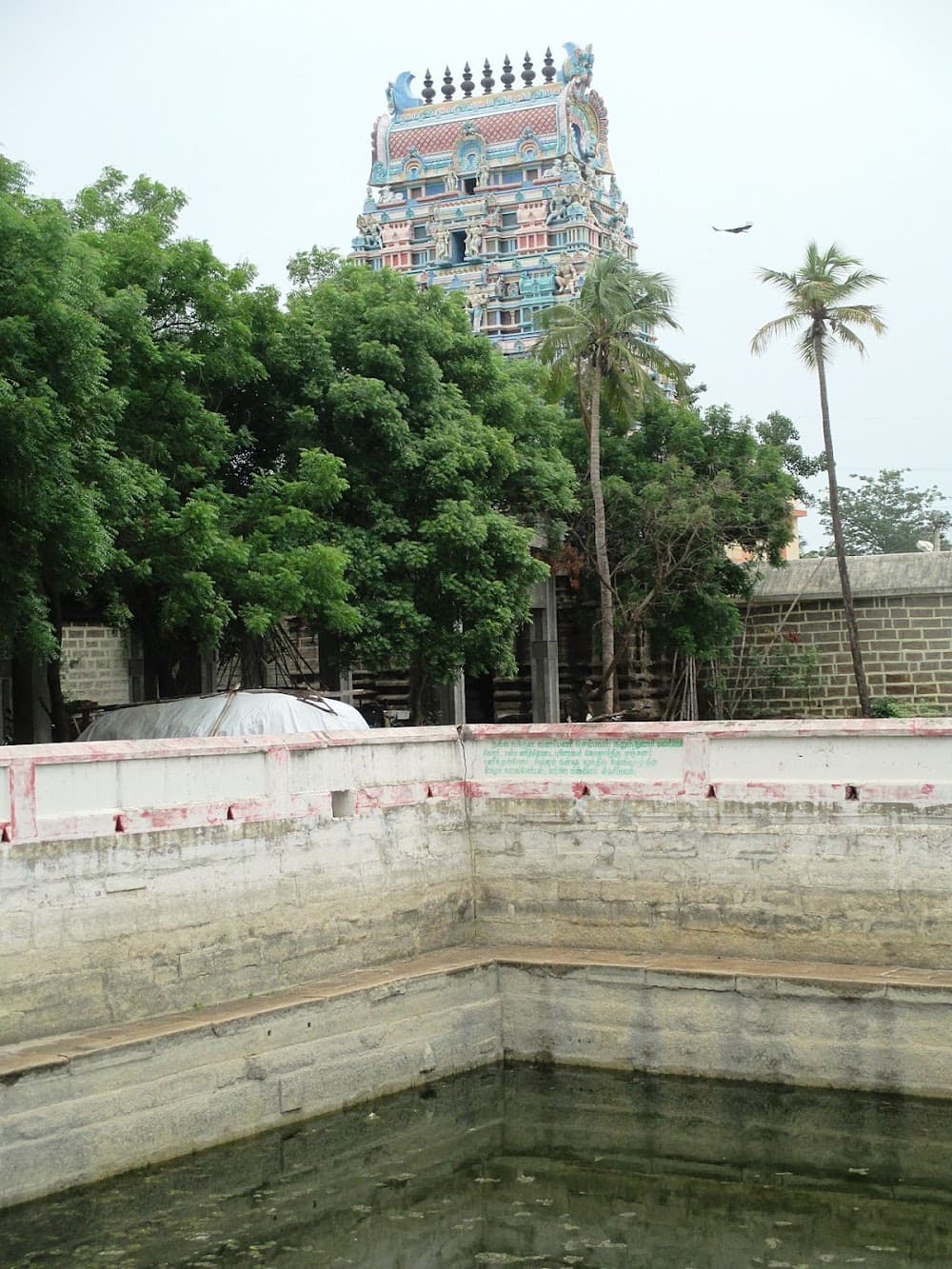📷 Muthuraja S