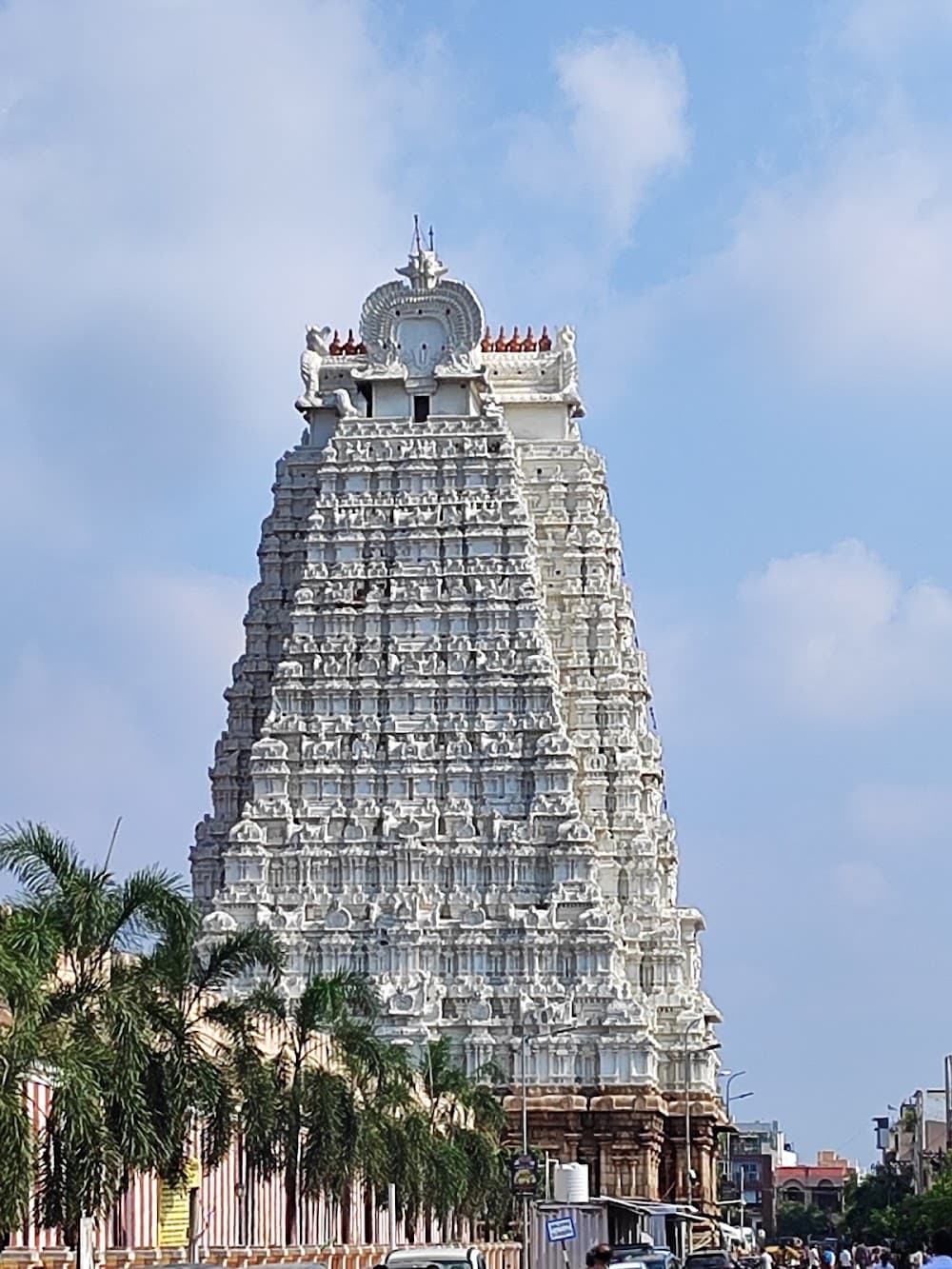 📷 SAIYOGESH S