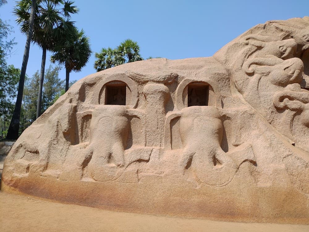 📷 vkvraju