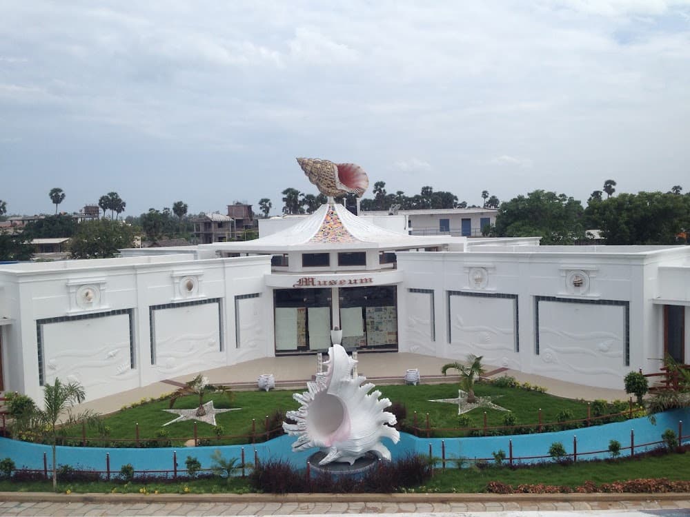 📷 India Seashell Museum