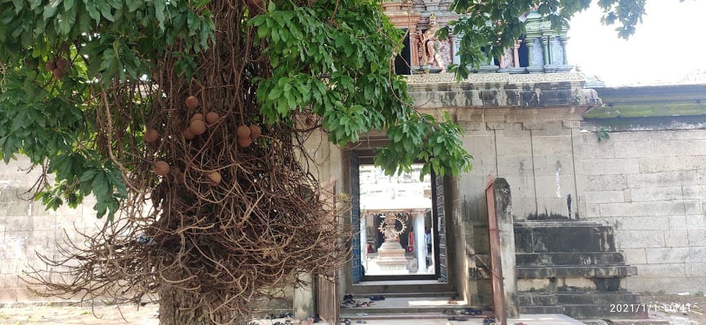 📷 Sambandam Natarajan