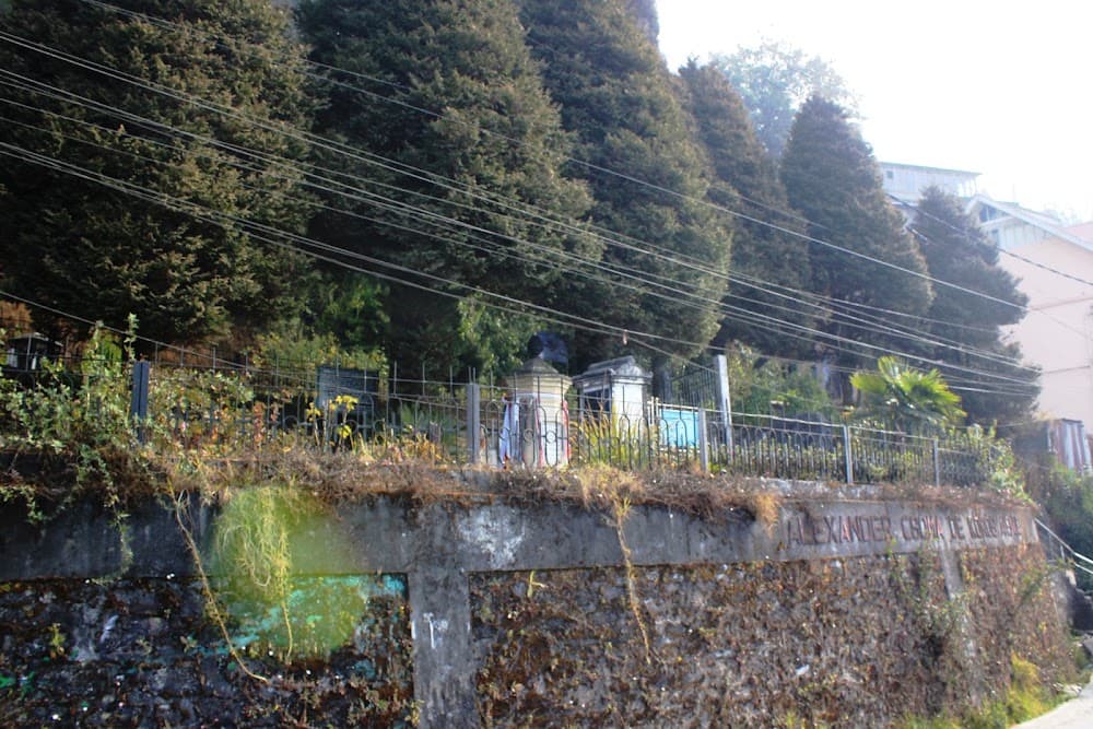 📷 János Palotás