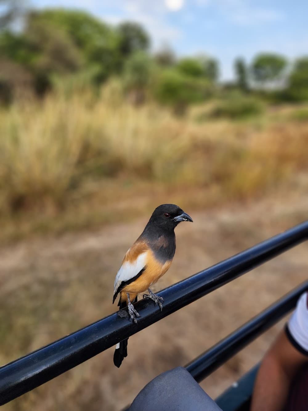 📷 Dr. Hardik Kela