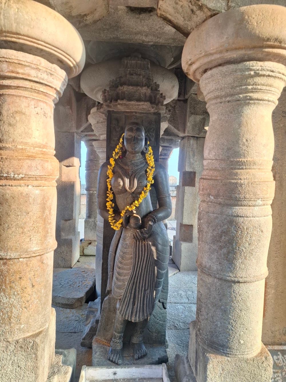 📷 Siddhant Patil_805