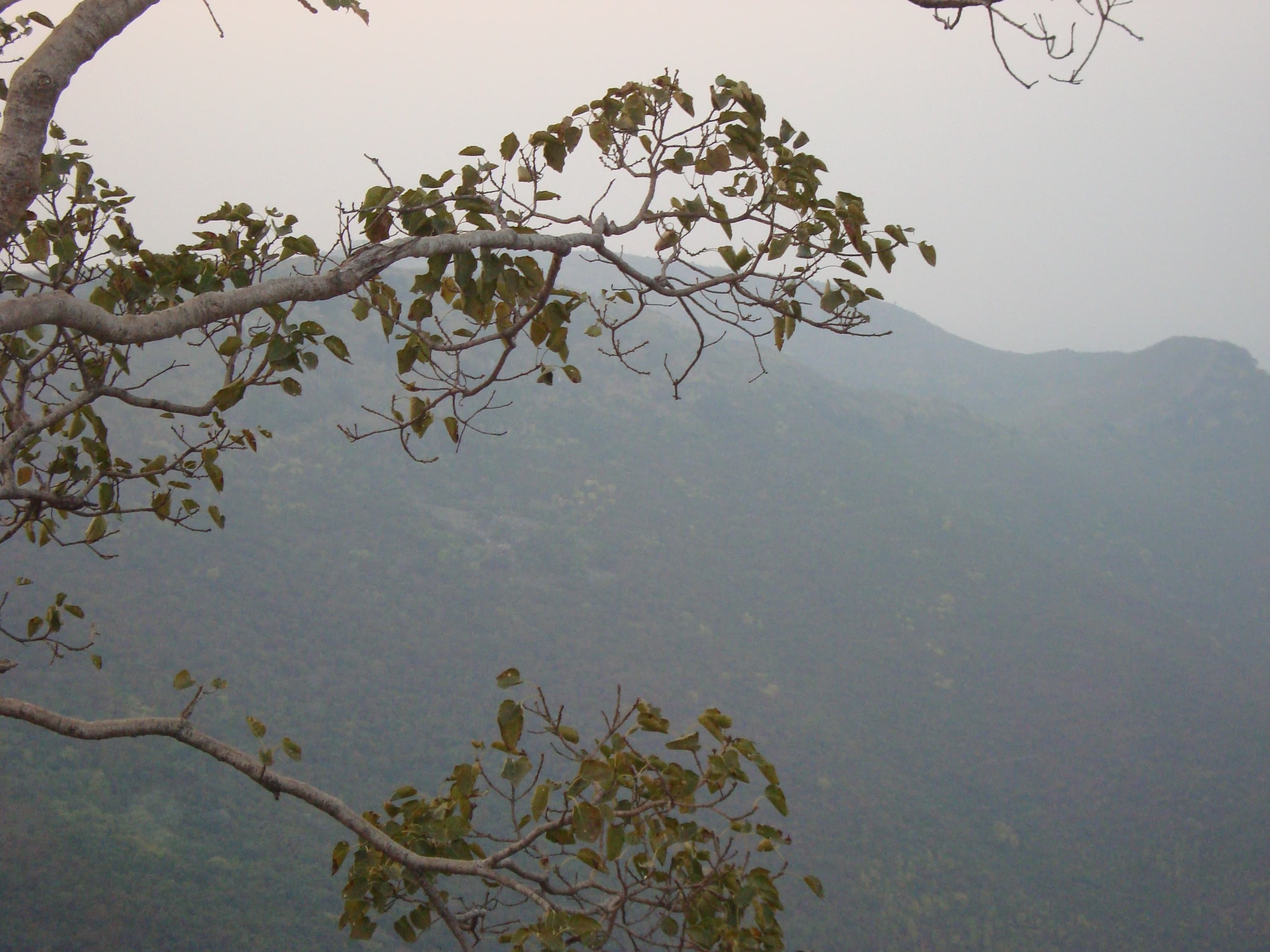 Pant (Rajgir) WLS